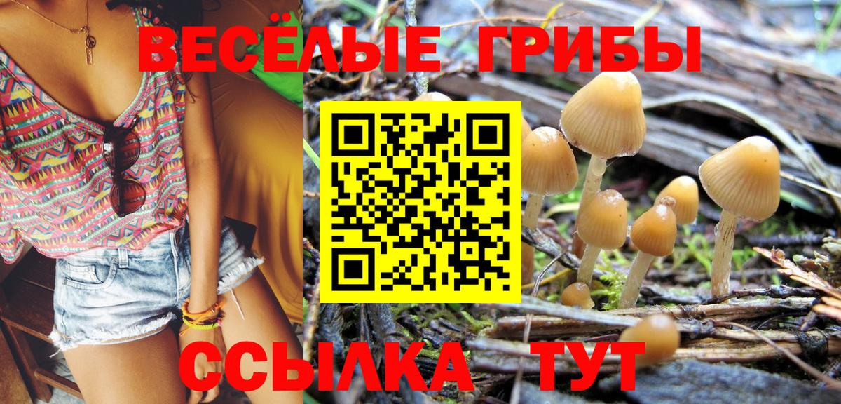 Галлюциногенные грибы ЛСД Вышний Волочёк